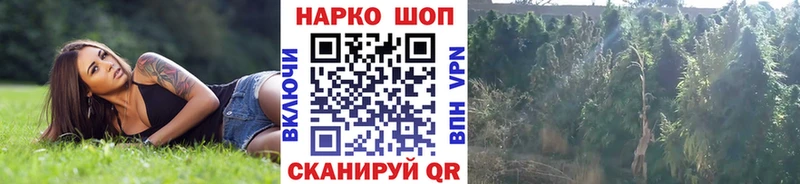 Что такое Поронайск Амфетамин  Alpha-PVP  Меф мяу мяу  МАРИХУАНА  COCAIN  ГАШИШ 
