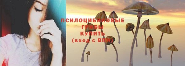 амф Переславль-Залесский