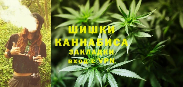 ГАЛЛЮЦИНОГЕННЫЕ ГРИБЫ Видное