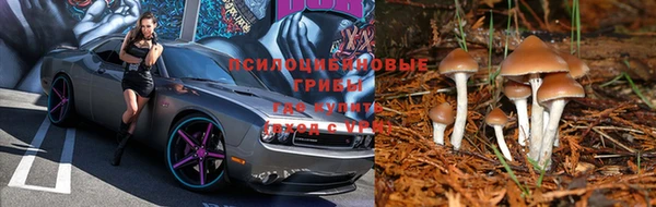 амф Переславль-Залесский